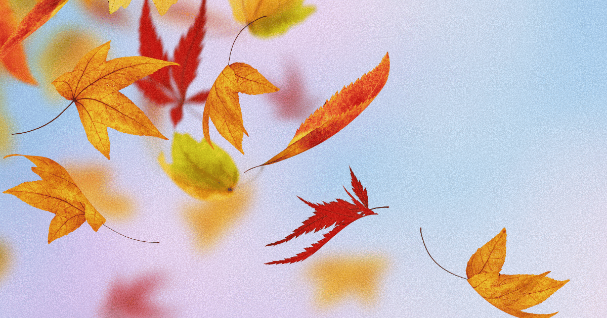 Fall_Ready-min.png